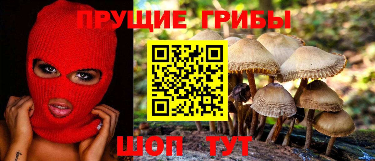 Псилоцибиновые грибы мухоморы Кизляр