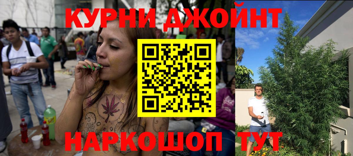 Каннабис планчик  Вход с VPN  Марихуана гибрид  Шишки марихуана ГИДРОПОН  Конопля индика  Кизляр 
